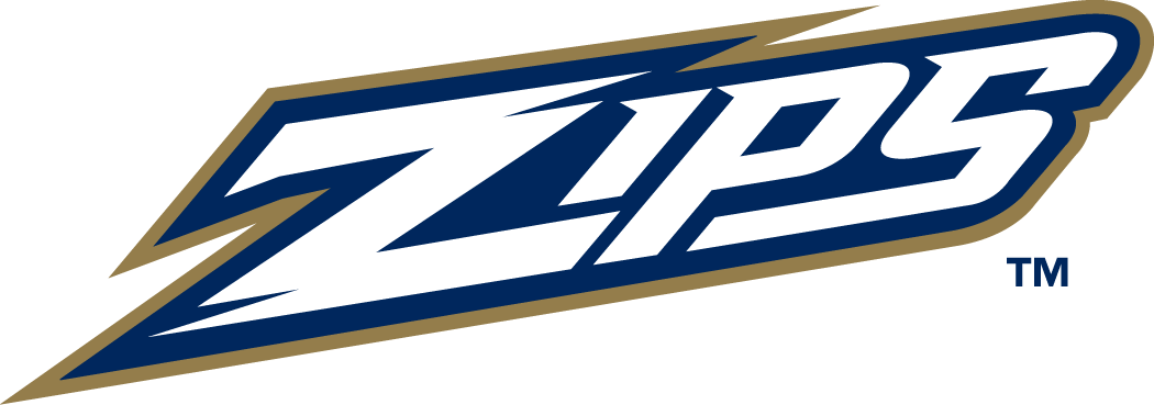 Akron Zips 2002-Pres Wordmark Logo v4 iron on transfers for fabric